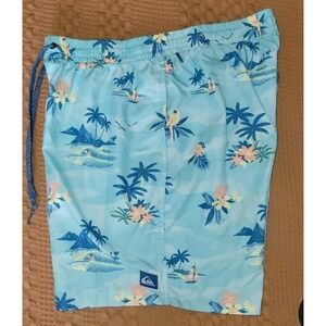 Quiksilver Board Shorts‎ Men Medium  Blue Everyday Scenic  Volley Swim